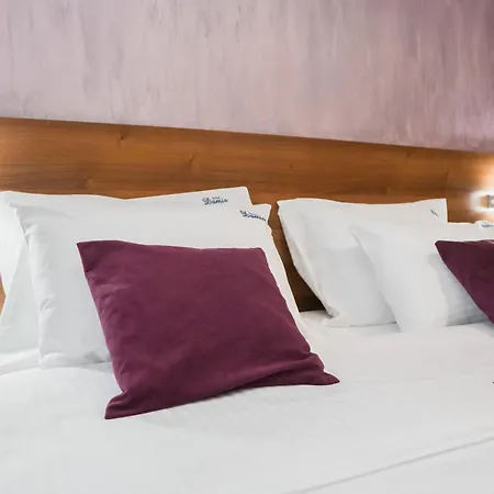 Hotel Damis Pale