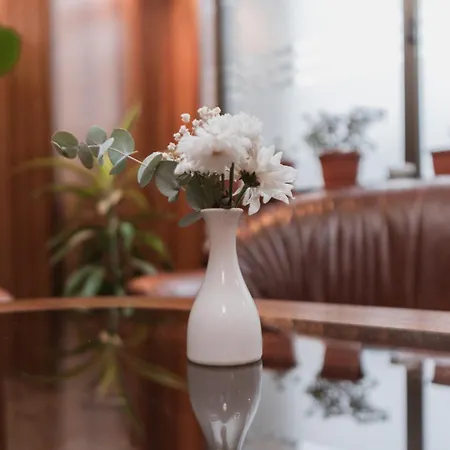 Hotel Damis
