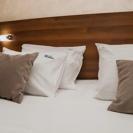 Damis Hotel Pale