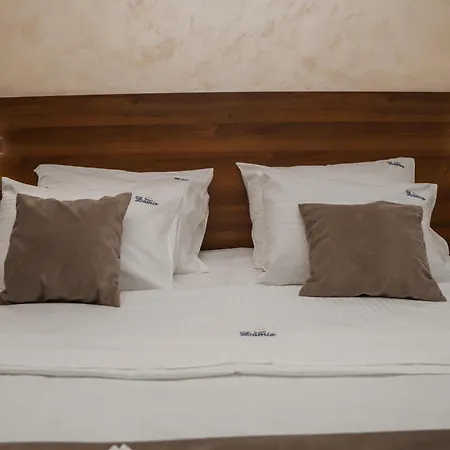 Hotel Damis 3*